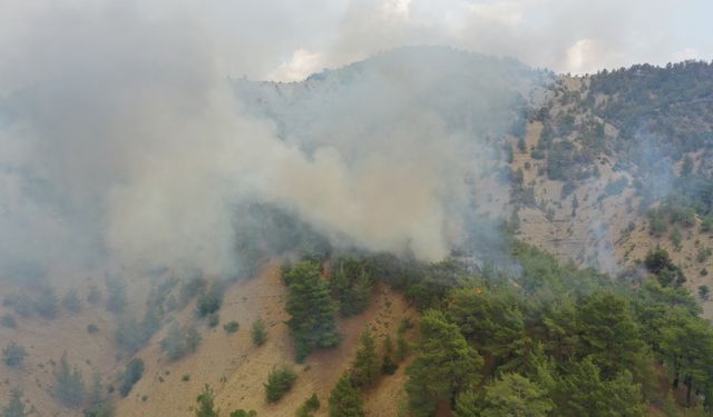 Kahramanmaraş'taki orman yangınına müdahale 3. gününde sürüyor
