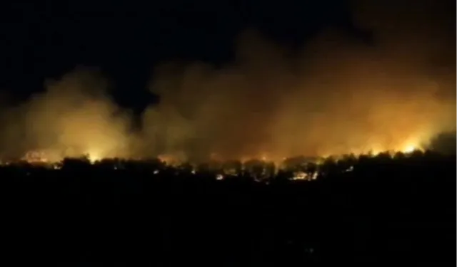 Orman'dan 22 Temmuz raporu: Müdahale edilen 54 yangından 51’i kontrol altında