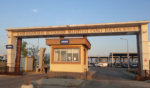 Canlı Hayvan Pazarı Açıldı