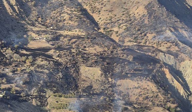 Kahramanmaraş'ta orman yangınına müdahale ediliyor