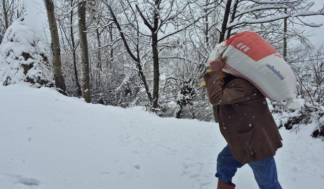 Burdur'un Altınyayla ilçesinde kar etkili oldu