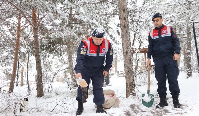 Jandarma ekipleri yaban hayvanları için doğaya yem bıraktı