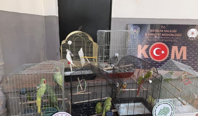 Kaçakçılık ve organize suçlarla mücadele sürüyor