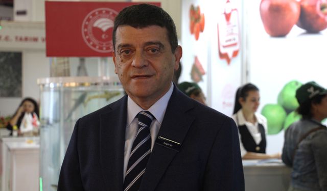 Türkiye'den yurt dışına sebzede en çok domates, salatalık ve biber tohumu gönderiliyor