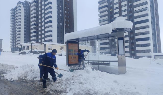 Büyükşehir, Yürüyüş Yollarını da Temizliyor