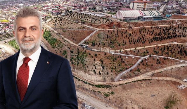 75 Bin Metrekarelik Yeşil Nefes… Karbon Yutak Alanı’nda Çalışmalar Sürüyor