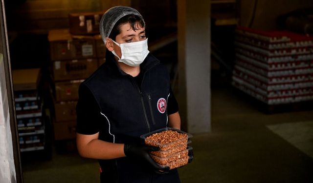 Depreme ve eş acısına rağmen üretimden vazgeçmedi, Avrupa'ya ihracatçı oldu