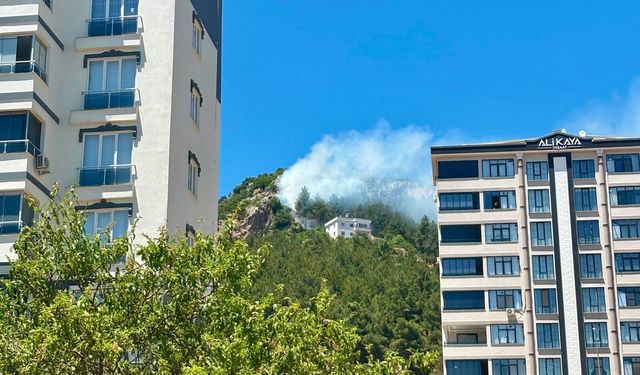 Kahramanmaraş'ta çıkan orman yangını kontrol altına alındı