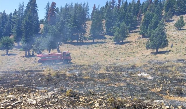 Kahramanmaraş'ta iki ilçede çıkan orman yangınları kontrol altına alındı