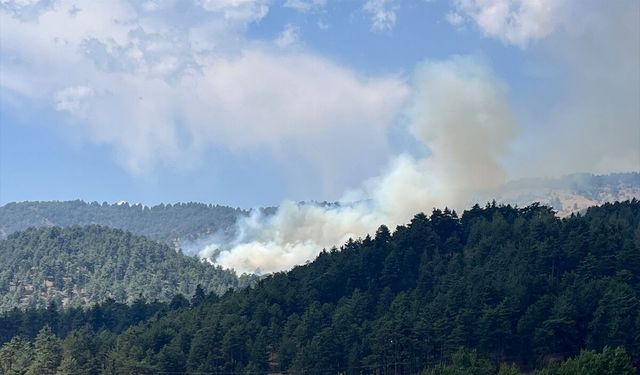 Kahramanmaraş'ta çıkan orman yangını kontrol altına alındı