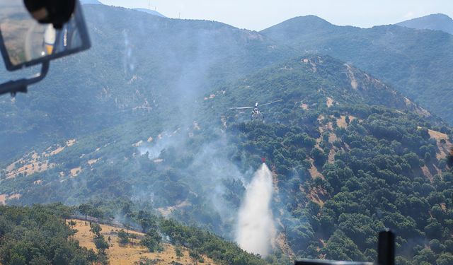 Kahramanmaraş'ta çıkan orman yangını kontrol altına alındı