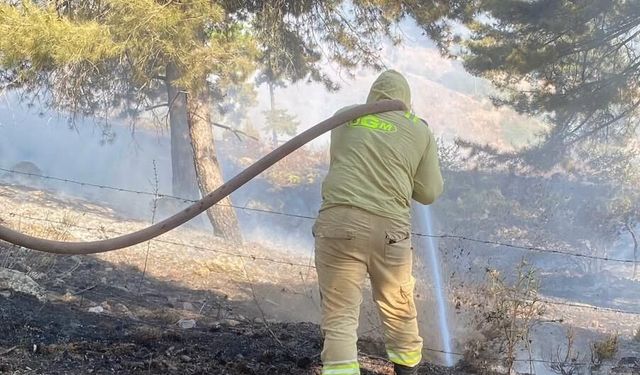 Kahramanmaraş'ta çıkan orman yangını kontrol altına alındı