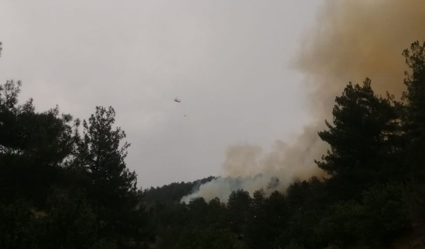 Kahramanmaraş'ın Onikişubat ilçesinde orman yangını çıktı