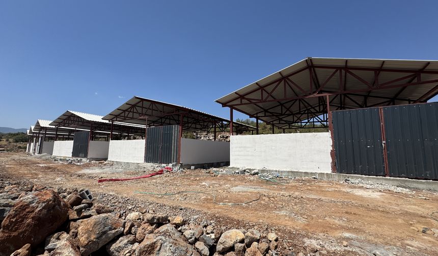 Kahramanmaraş'ta depremzede besicilere yapılan 537 ahır yıl içinde teslim edilecek