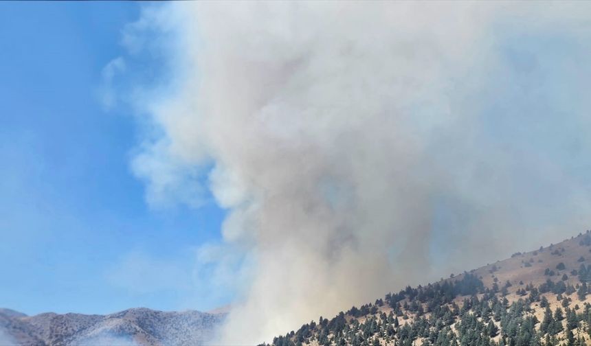 Kahramanmaraş'ta çıkan orman yangınına müdahale ediliyor