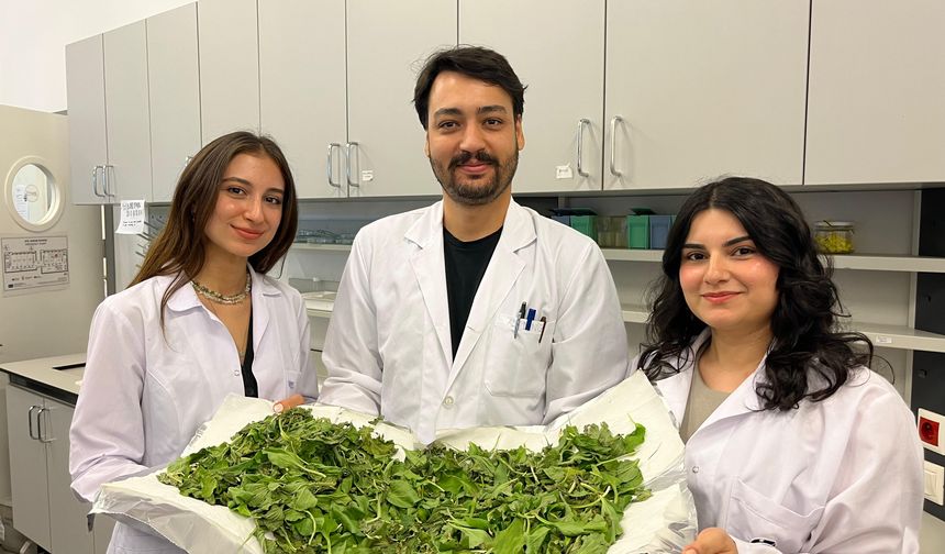 Öğrencilerinden antibiyotik direncine karşı doğal çözüm