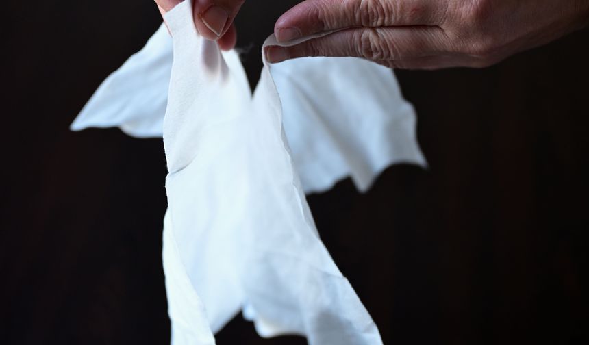 Türkiye kozmetikte en fazla ıslak mendil ve sabun ihraç ediyor