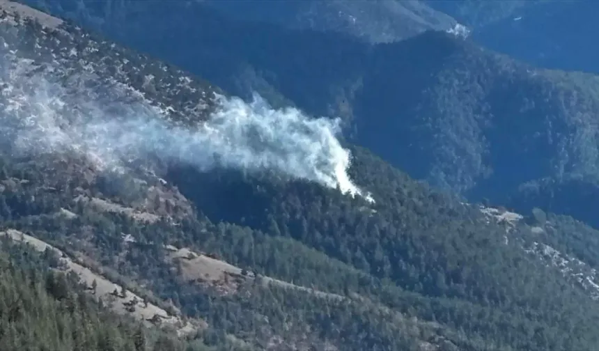 Feke'de çıkan orman yangını kontrol altına alındı