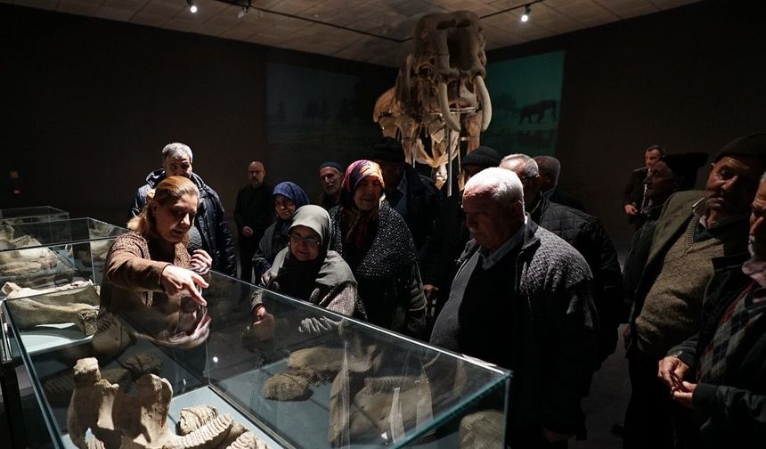 Büyükşehir, Ulu Çınarları Tarihle Buluşturdu