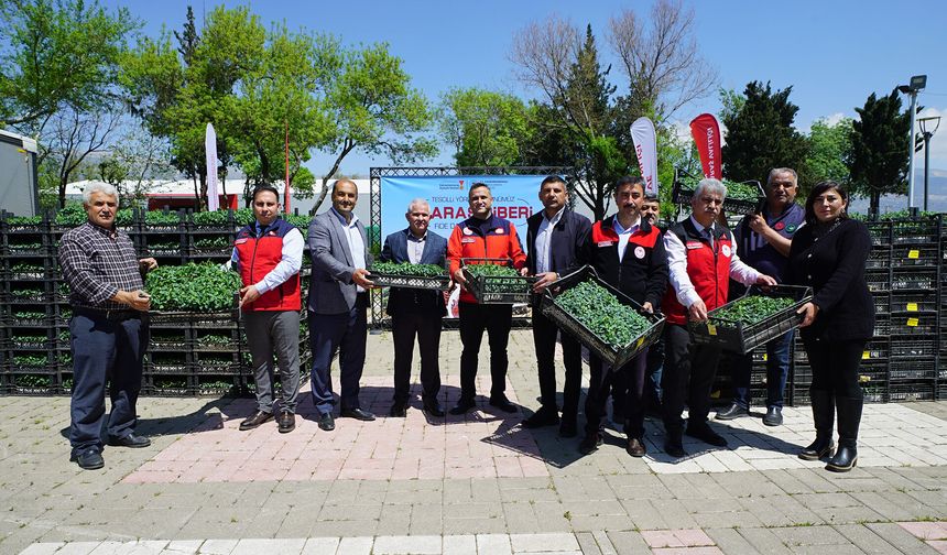 Büyükşehir’den Üreticiye 650 Bin Hibe Biber Fidesi