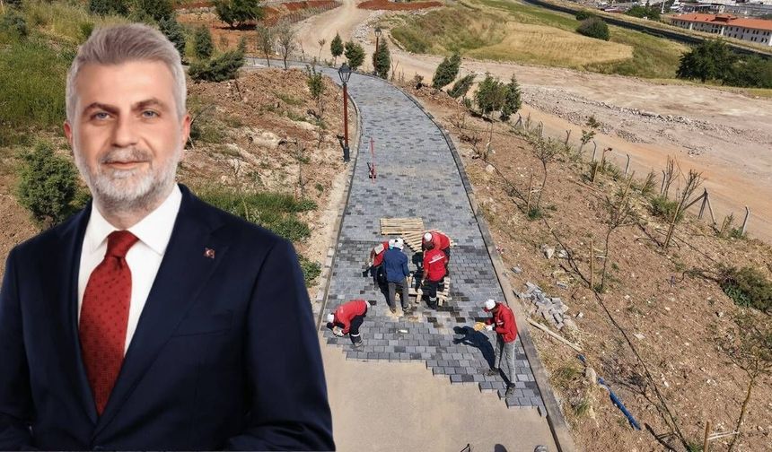 Büyükşehir’in ‘Yeşil Dönüşüm’ Hamlesi Karbon Yutak Alanı’nda Çalışmalar Sürüyor