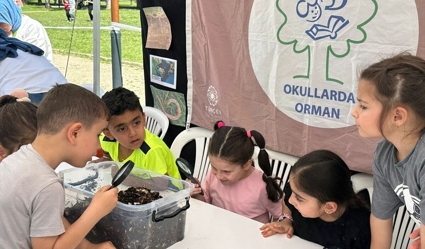267 okul 'orman bayrağı' almaya hak kazandı
