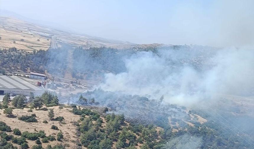 Kahramanmaraş'ta çıkan orman yangını kontrol altına alındı