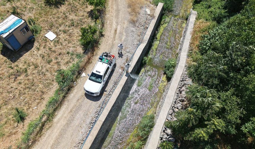 Büyükşehir’den Sivrisinek ve Haşerelere Karşı Etkin Mücadele