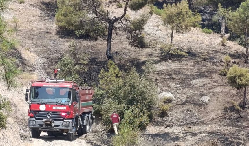Kahramanmaraş'ta çıkan orman yangını kontrol altına alındı