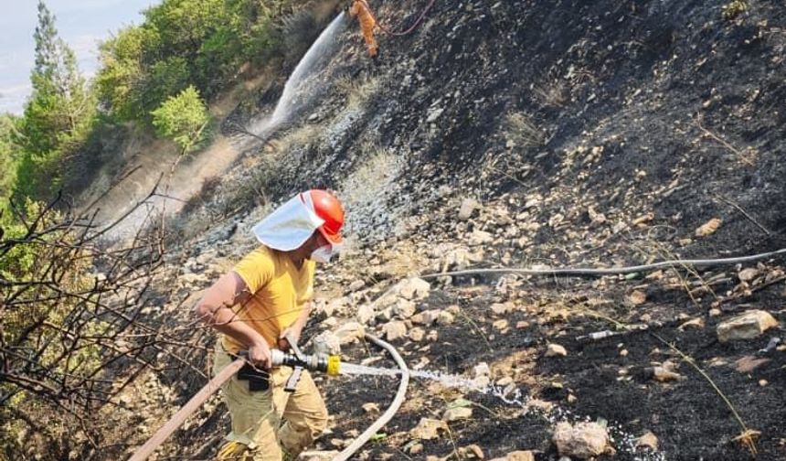 Kahramanmaraş'ta çıkan orman yangını kontrol altına alındı