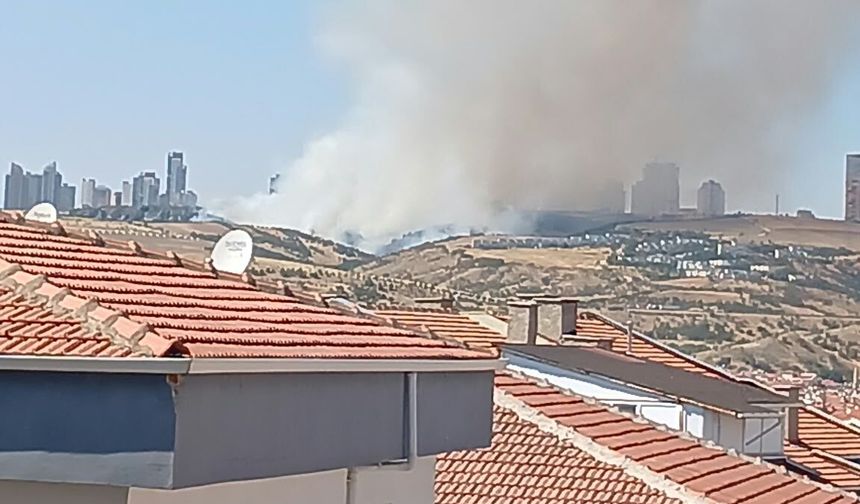 Kahramanmaraş'ta ziraat alanında çıkan yangın kontrol altına alındı