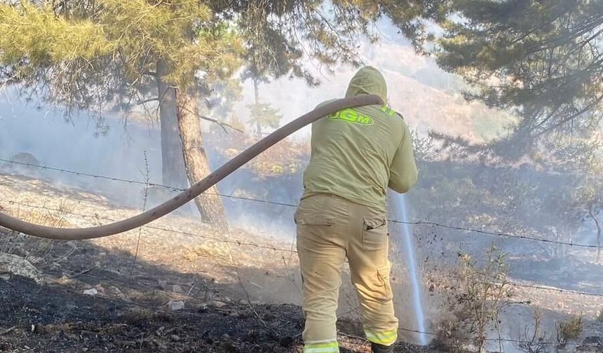 Kahramanmaraş'ta çıkan orman yangını kontrol altına alındı