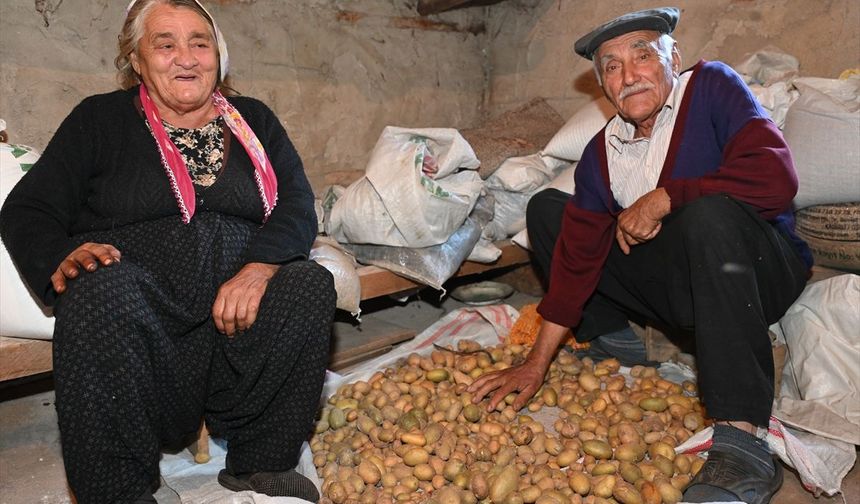 Osmaniyeli çift 1400 metre rakımdaki köy evinde 57 yıldır aynı yastığa baş koyuyor