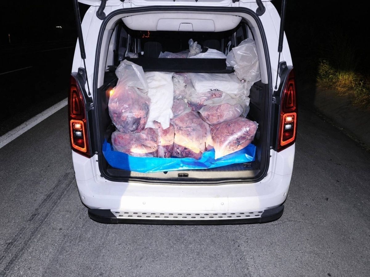 Sağlıksız koşullarda taşınan 877 kilogram sakatat ele geçirildi
